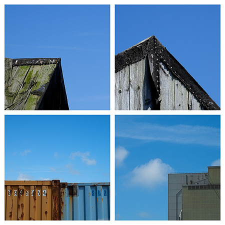 Dungeness Details and Textures with @ministract @timallenpho