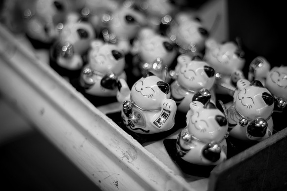 Fuji X-E1 and Pentax 50mm f1.8
