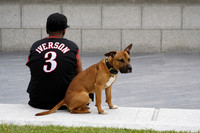 One man and his dog