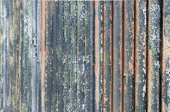 Dungeness