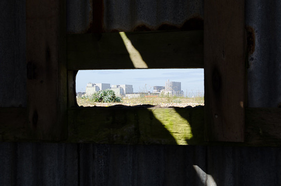 Dungeness