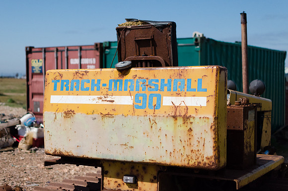 Dungeness
