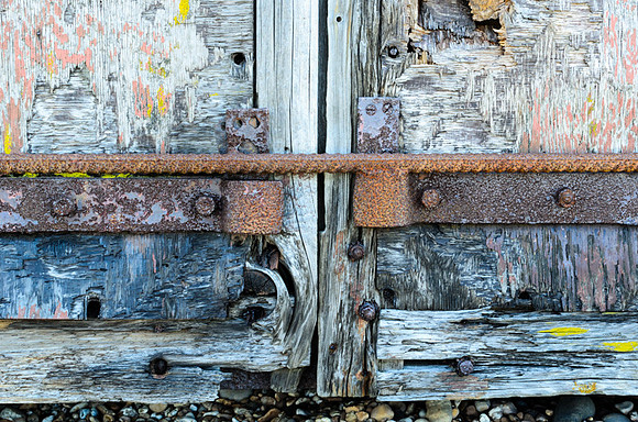 Dungeness