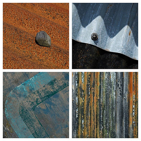 Dungeness Details and Textures with @ministract @timallenpho