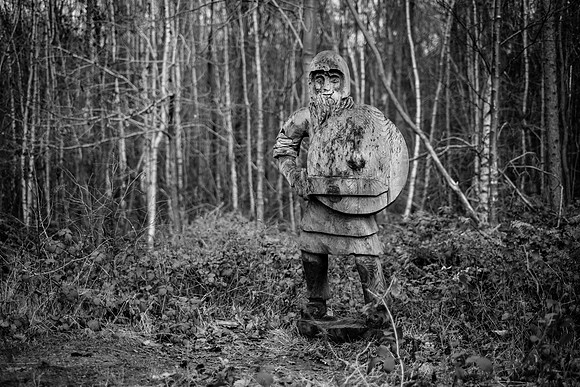 A wander through Joyden's Wood