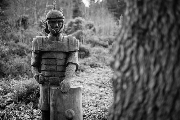 A wander through Joyden's Wood