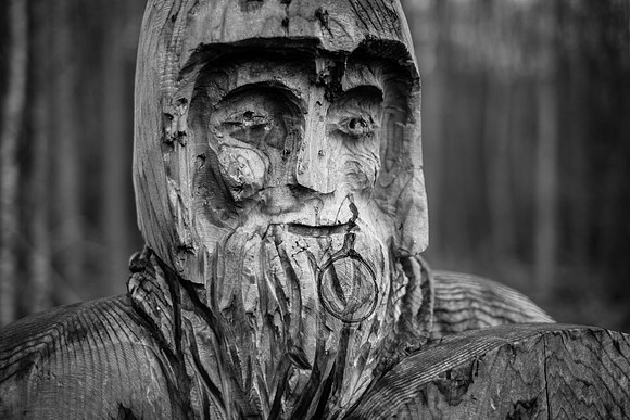 A wander through Joyden's Wood